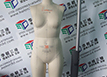 Three-dimensional detection of mannequins、Three-dimensional scanning of human parts