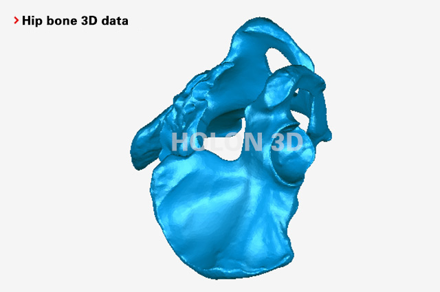 Hip bone 3D data