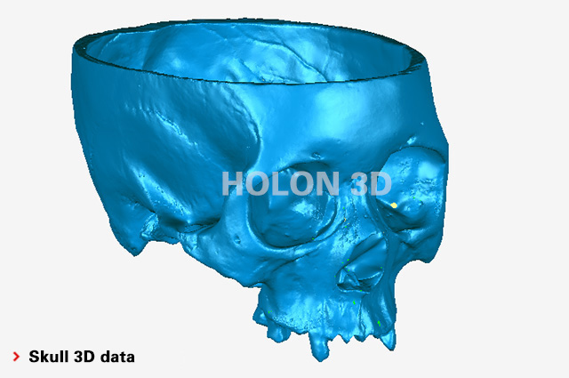 Skull 3D data