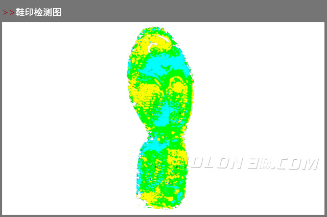 腳印三維檢測圖