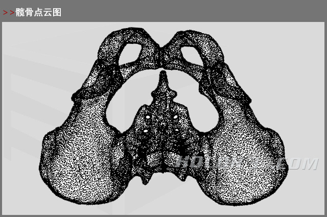 髖骨點云圖