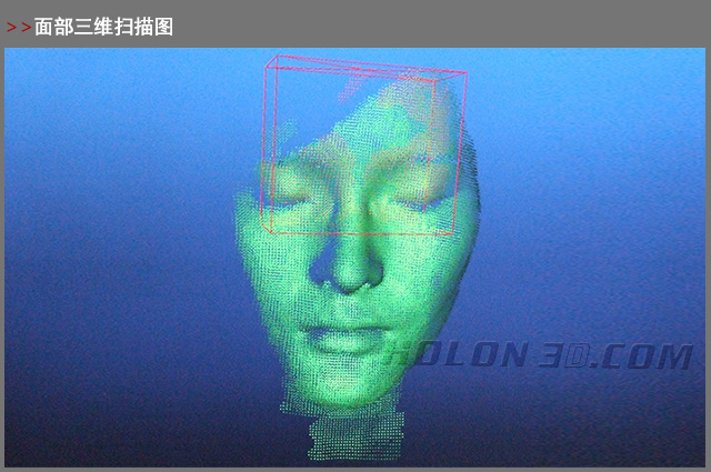 人臉三維掃描圖